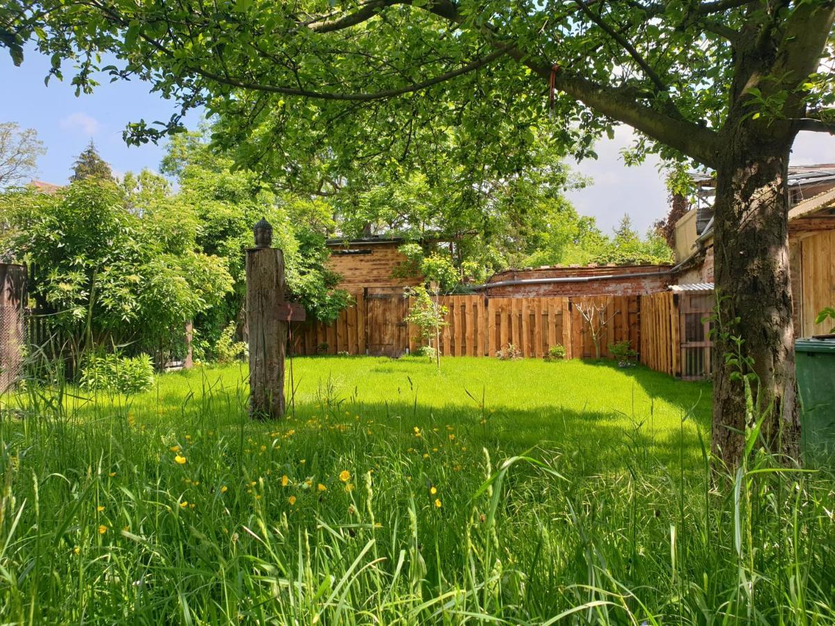 Ferienhof Gruene Kuh Elsteraue Экстерьер фото