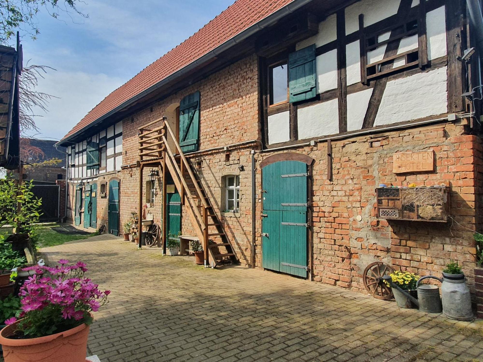 Ferienhof Gruene Kuh Elsteraue Экстерьер фото