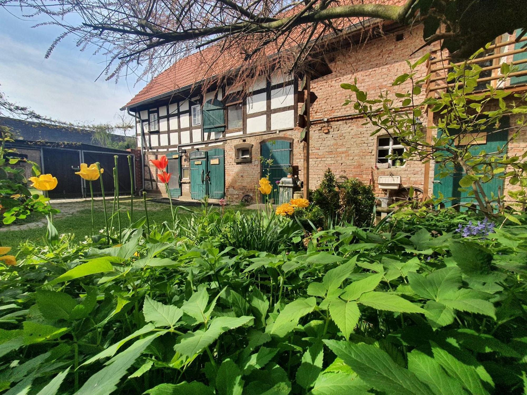 Ferienhof Gruene Kuh Elsteraue Экстерьер фото