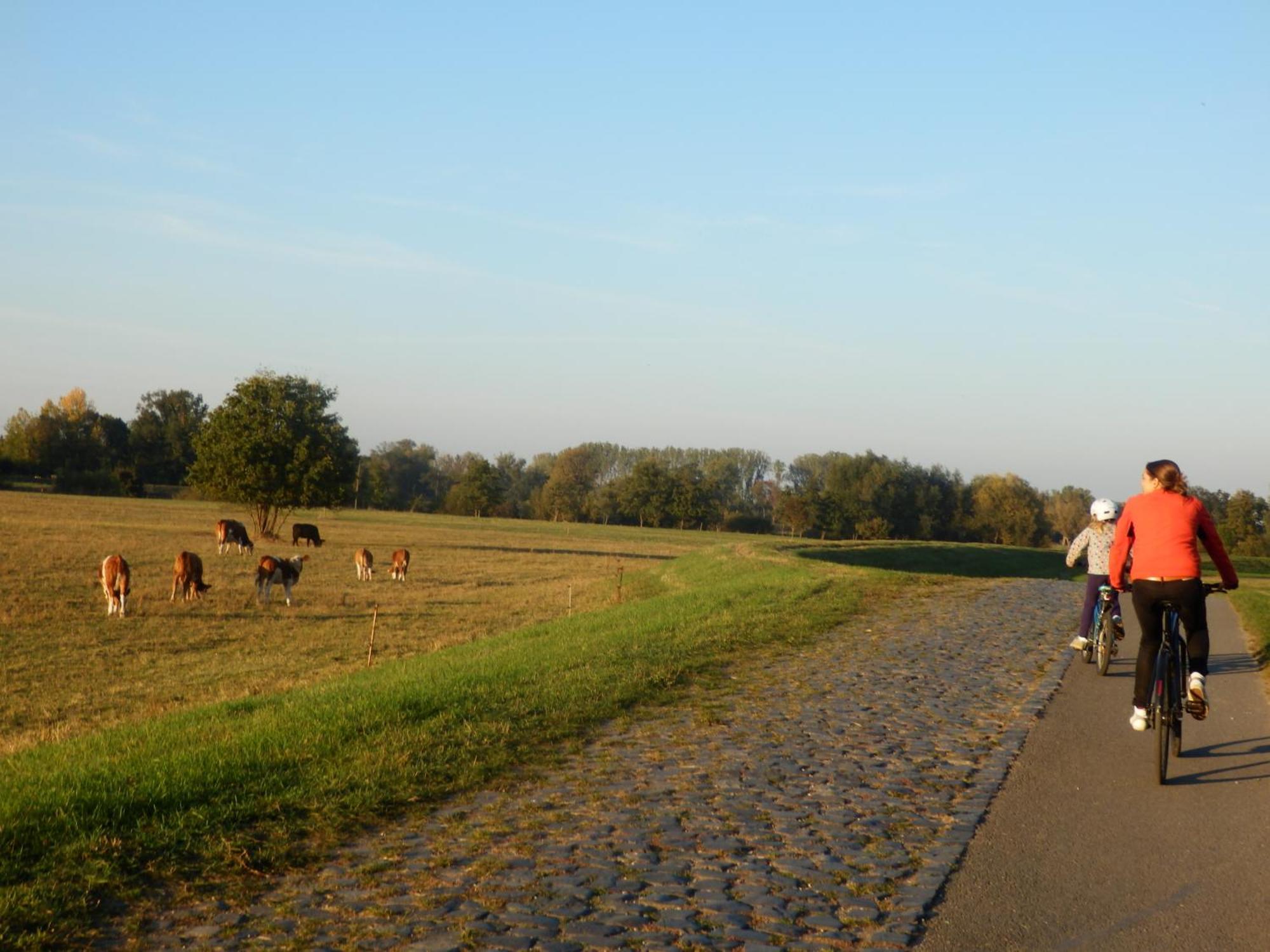 Ferienhof Gruene Kuh Elsteraue Экстерьер фото